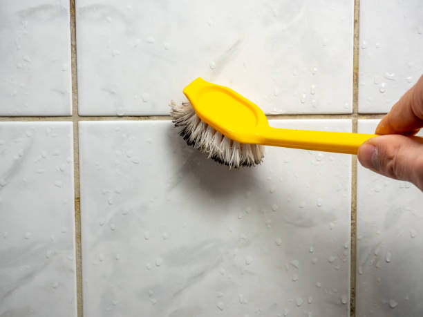 Best Health and Safety Mold Remediation in Monroe, GA
