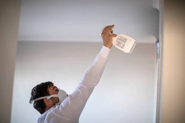 Professional Mold Remediation in Monroe, GA