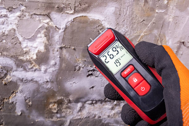 Best Crawl Space Mold Remediation in Monroe, GA