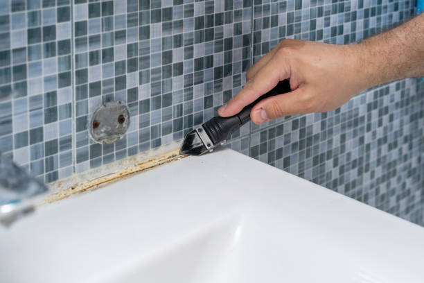 Best Basement Mold Remediation in Monroe, GA
